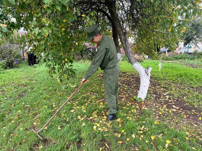 Акция «Мы выбираем помощь пожилым людям!» Акция «Мы выбираем помощь пожилым людям!»