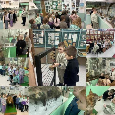 ������ �������-����������