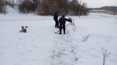 ����� ������� ���� ������