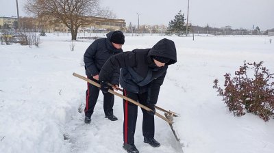 ����� ������� ���� ������