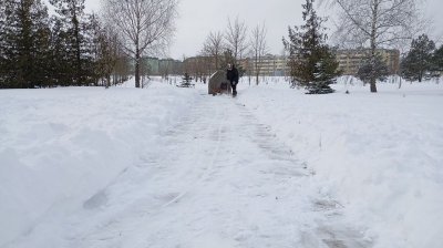 ����� ������� ���� ������