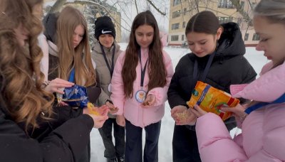 �������� ������ ������� ���������