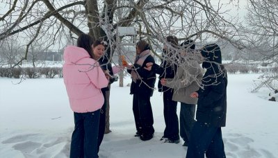 �������� ������ ������� ���������