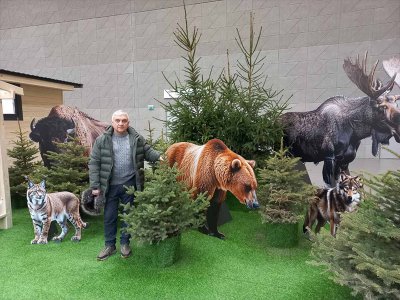 �������� ���������� ���� ���������