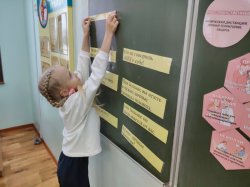 �������� ����, ����������� ���� ���������������� ������������