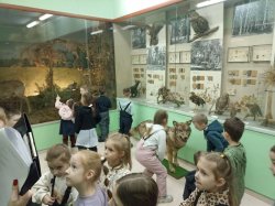 ������ �������-����������