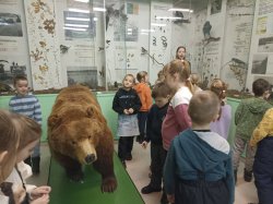 ������ �������-����������