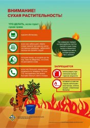 ���� � �� �������