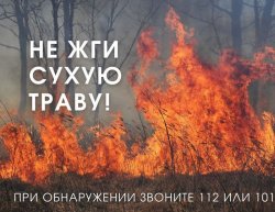 �������� ������: ��������� � ���� ����������������