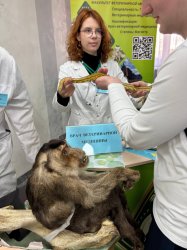 ������������������ ����� ����� � ���������