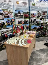 ������������������ ����� ����� � ���������