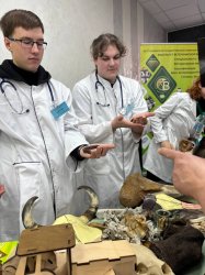 ������������������ ����� ����� � ���������