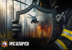 ����������� ���������������� ����������� �������� ��� � ������ �������� ������