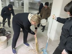 ��������� ����� �9 �� ��������������� ����������: ����� � �������