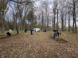 ������ ������� � ��������� ������ �������� ����������