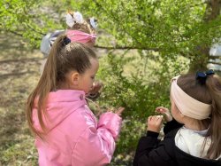 ���������� � �������: ��� ������ ��������